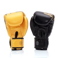 FAIRTEX - "Harmony Six" Boxing Gloves (BGV26) - 14oz
