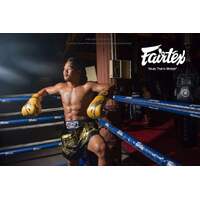FAIRTEX - Gold Falcon Limited Edition Boxing Gloves (BGV1) - 8oz